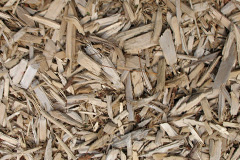 biomass boilers Moneystone